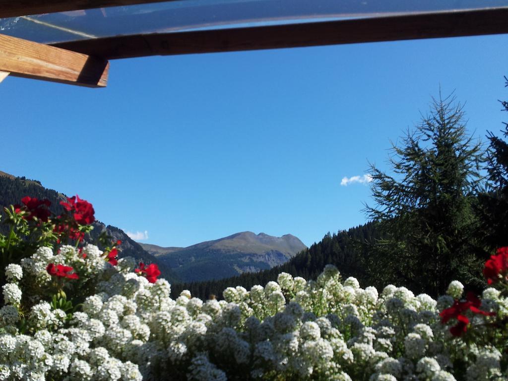 Chalet Belvedere Arabba Δωμάτιο φωτογραφία